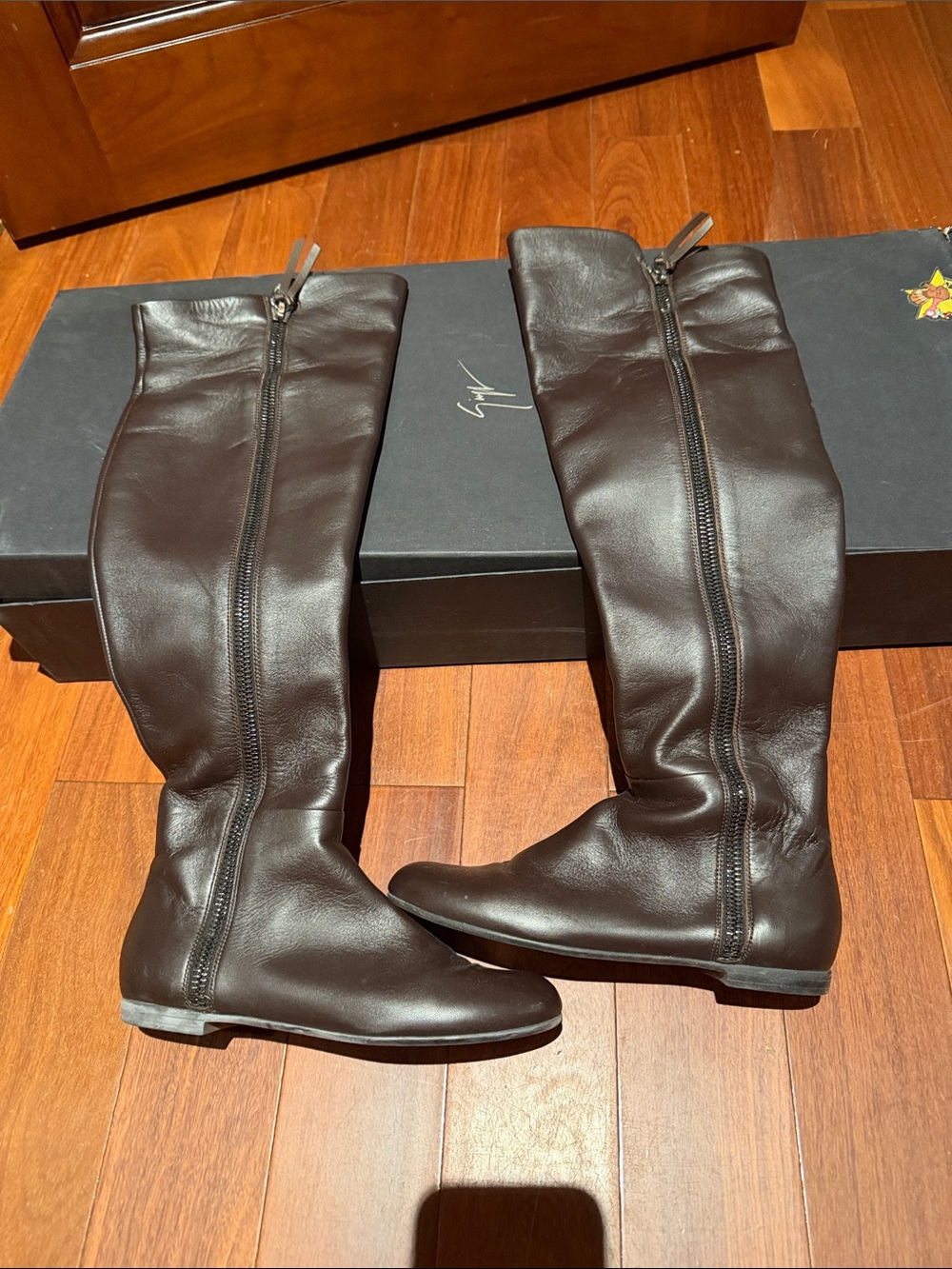 Giuseppe zannotti Leather Tall Riding Boots - Dark Brown